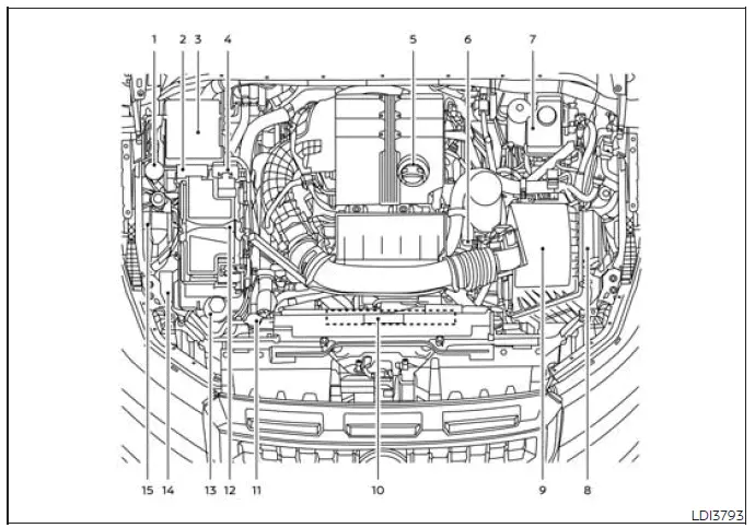 Nissan Frontier 3.8L VQ38DD engine compartment service points