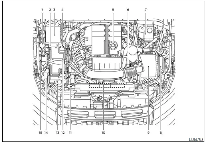 Nissan Frontier 3.8L VQ38DD engine compartment check locations