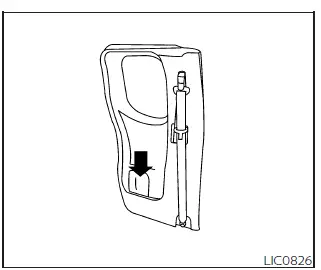 Nissan Frontier rear door storage pocket type A